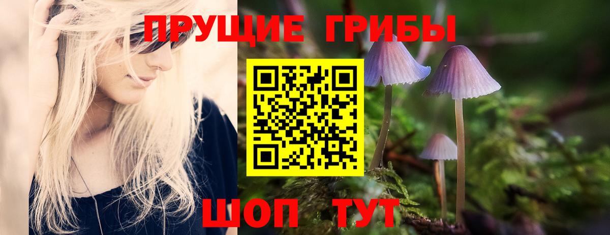 Псилоцибиновые грибы Cubensis  Галлюциногенные грибы Cubensis  Большой Камень  Вход с VPN 
